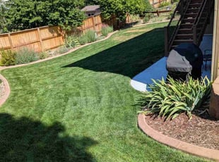 Lauren S.'s lawn care services service result