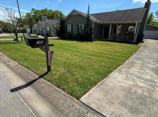 Catherine W.'s lawn service service result