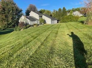 Paula H.'s lawn service service result