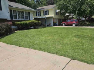 Stephanie W.'s lawn care service result
