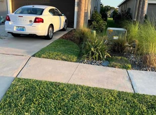 Anoop N.'s lawn care service result