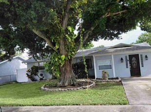 Kristin M.'s landscaping services service result