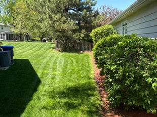 Raj R.'s lawn service service result