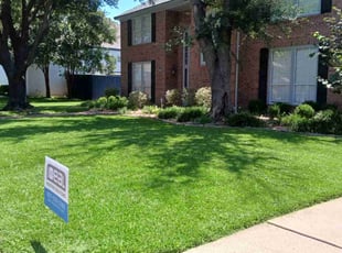 Gabriel B.'s turf maintenance service result