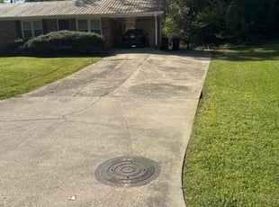 Connie H.'s lawn care service result