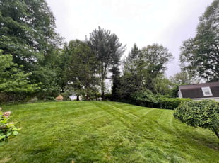 Linda M.'s turf maintenance service result
