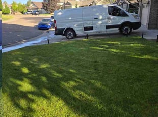 Anton Y.'s turf maintenance service result