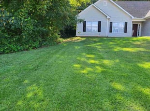 Diamond S.'s lawn care service result