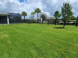 Chris R.'s lawn care service result