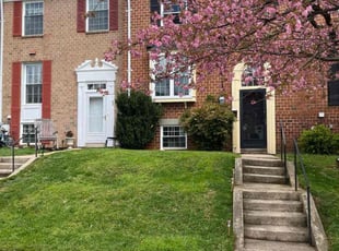 Steve M.'s grass maintenance service result