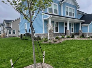 Shanna O.'s lawn care services service result