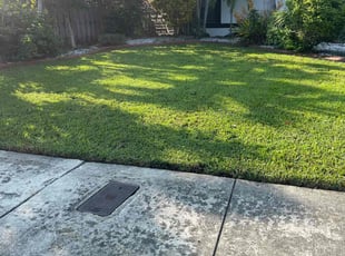 Mariano C.'s grass maintenance service result