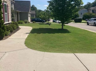Kristine P.'s turf care service result