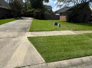 Anthony A.'s lawn maintenance service result