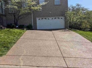 Rayanne J.'s turf maintenance service result