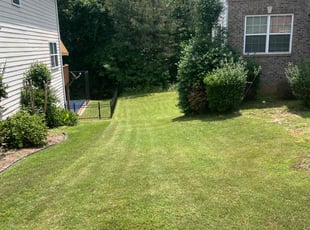 Jp M.'s lawn service service result