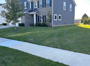 Roger P.'s turf care service result