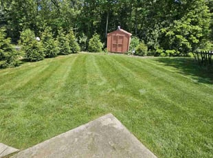 Ken A.'s lawn care service result