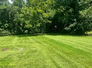 Thomas R.'s grass cutting service result
