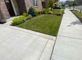 Jennifer H.'s grass cutting service result