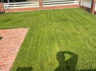 Rebekah R.'s turf maintenance service result