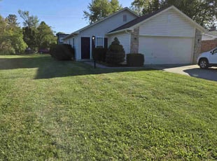 Rene C.'s grass maintenance service result