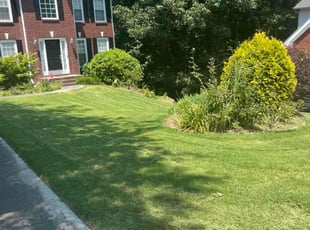 Tonya W.'s grass cutting service result