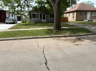 Becky M.'s turf maintenance service result