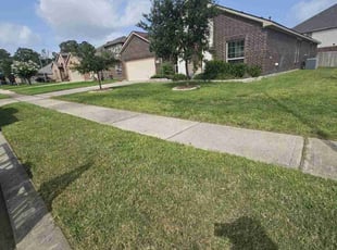Elton C.'s yard service service result