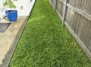 Mary R.'s lawn care services service result
