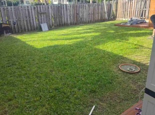 Edna P.'s lawn care services service result