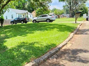 Lewis C.'s turf maintenance service result