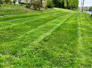 Kelli l.'s lawn care service result