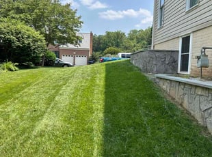 Lawrence R.'s lawn maintenance service result