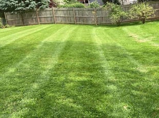 Zellan C.'s grass maintenance service result