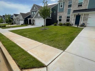 Ruth M.'s lawn maintenance service result