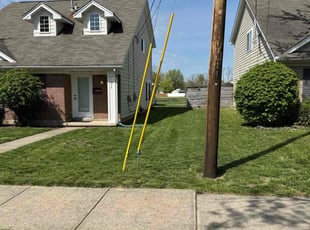 Nick T.'s lawn service service result