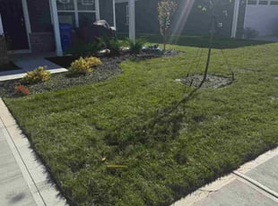 Felipe V.'s lawn service service result