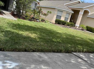 Stacy L.'s turf care service result