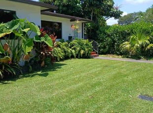 Stephan H.'s yard service service result