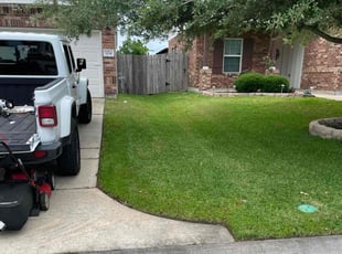 Neil G.'s lawn care service result