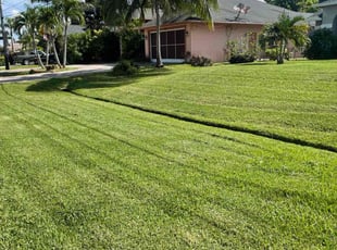 Kayt W.'s lawn care services service result