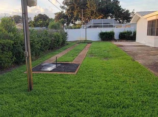 Callista H.'s turf care service result
