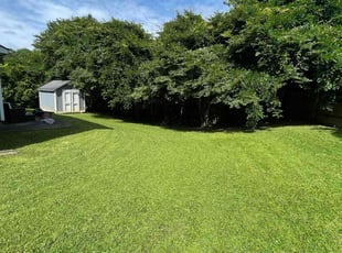 Tm B.'s grass cutting service result