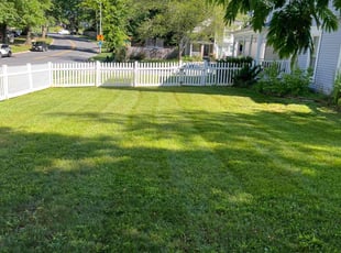 Paula S.'s grass maintenance service result