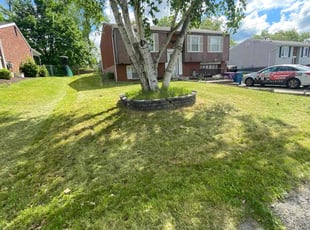 Carol H.'s lawn maintenance service result