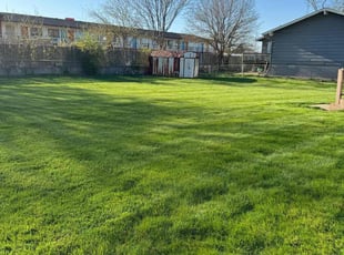 Jason D.'s lawn service service result