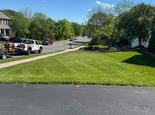 Frank L.'s lawn maintenance service result