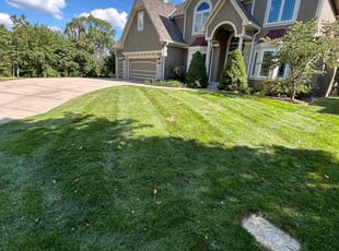 Allison L.'s turf maintenance service result