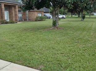 Robin A.'s lawn care services service result
